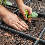 The Complete Guide to Garden Irrigation Setup
